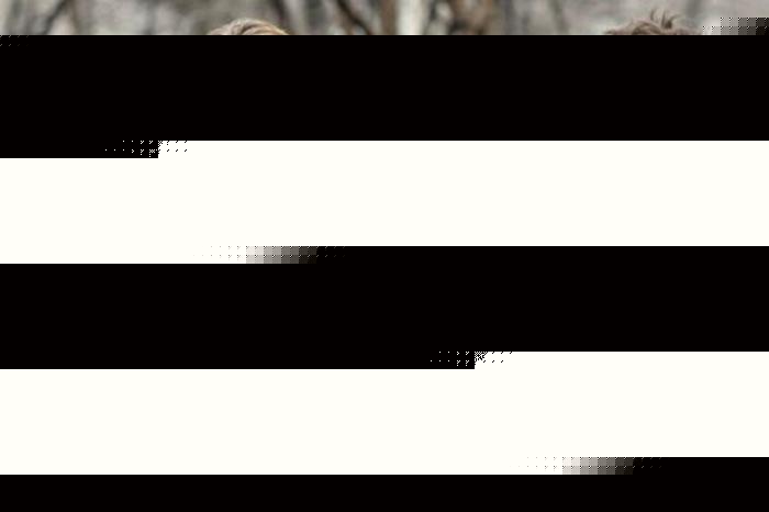 养鬼吃人9：启示录