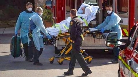 全职猎人剧场版：绯色的幻影