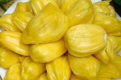 内衣少女（国语版）