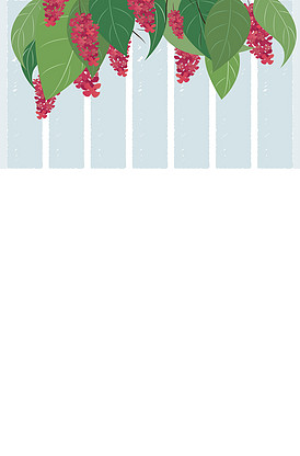 全家变身大作战