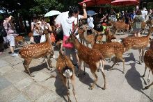 凯文·哈特:黑人历史指南