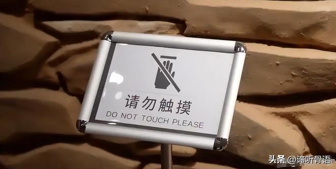 全职高手之巅峰荣耀