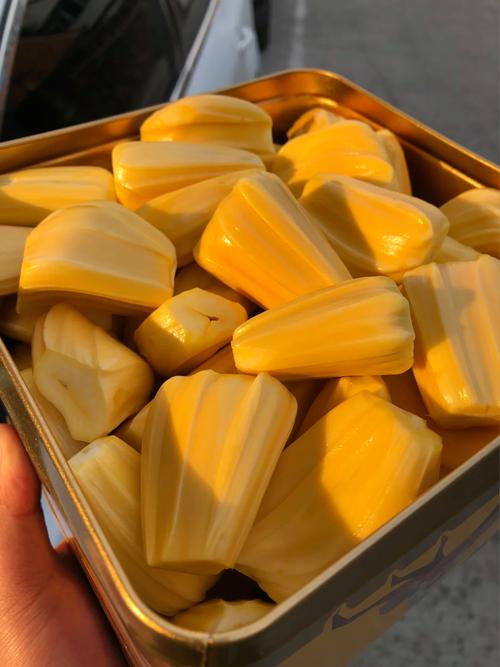 养鬼吃人2：魔界追魂