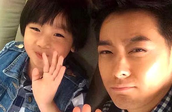 兔子镇的火狐狸